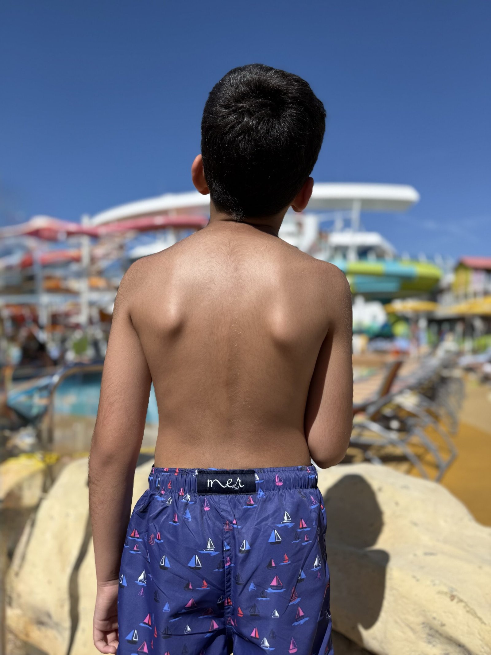 Bateau swim shorts - Image 3