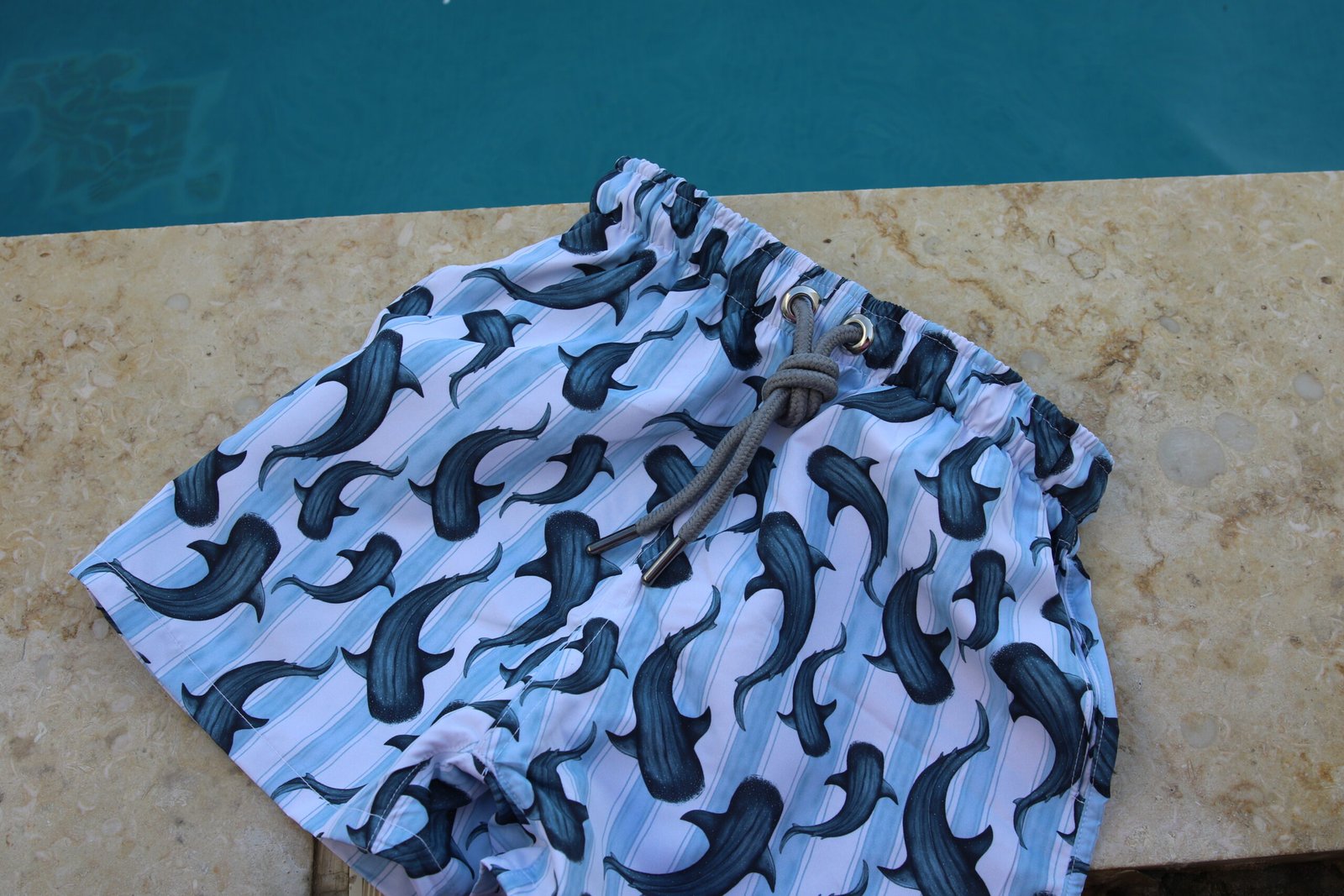 Baleine swim shorts - Image 7